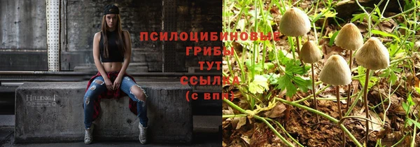 альфа пвп Баксан